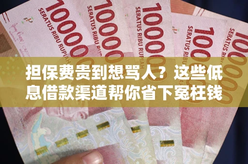 济南担保费贵到想骂人？这些低息借款渠道帮你省下冤枉钱