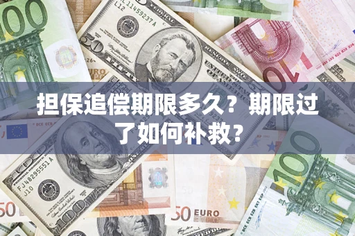 济南担保追偿期限多久？期限过了如何补救？