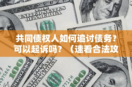 济南共同债权人如何追讨债务？可以起诉吗？（速看合法攻略）